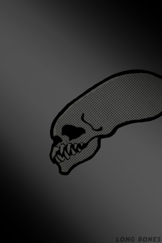  Long Bones 