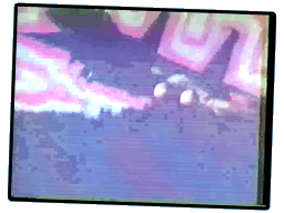  Download OVA 